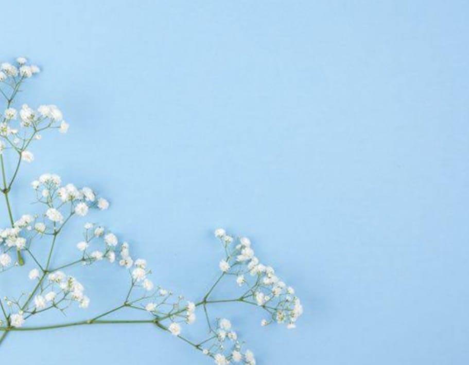 Gypsophilia And Baby Birth