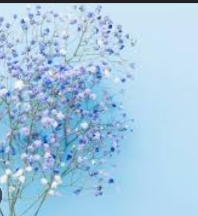 Gypsophilia And Baby Birth